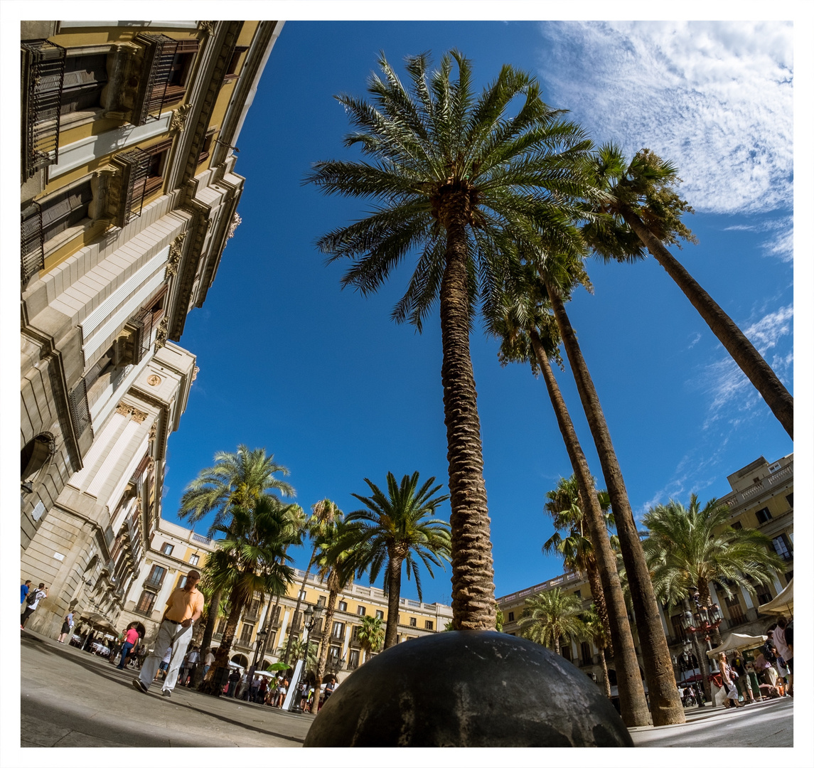 Placa Reial