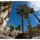 Placa Reial