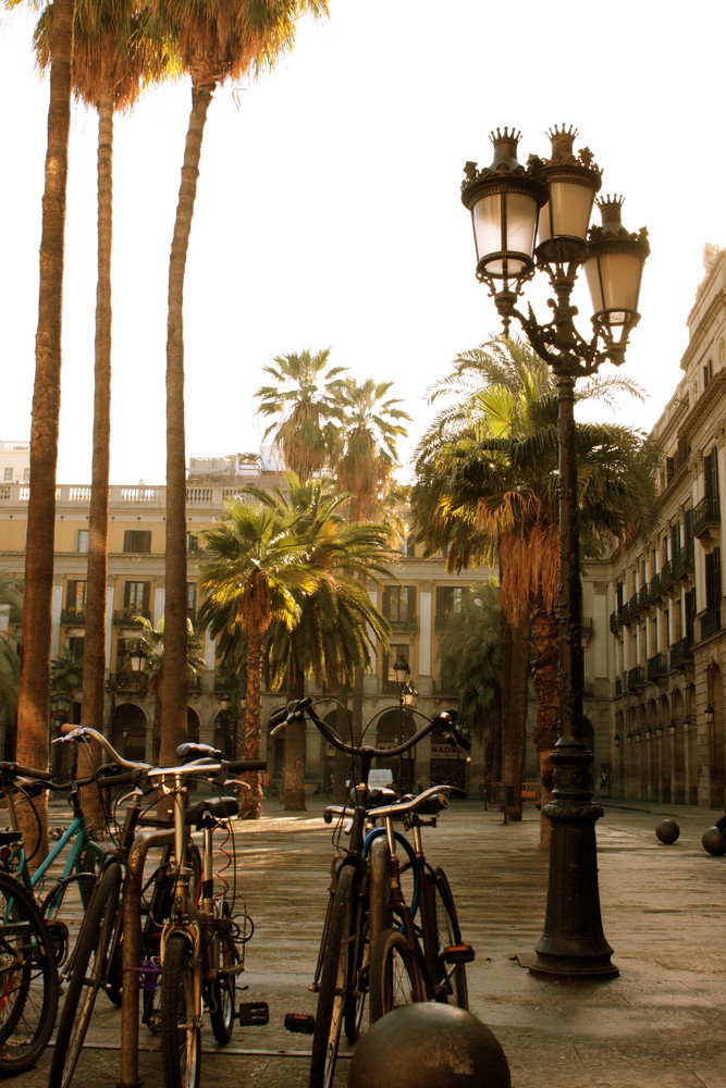 Placa Reial