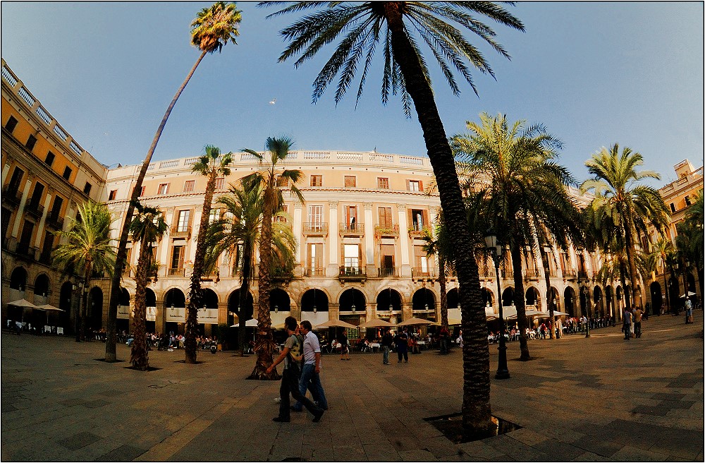 Placa Reial