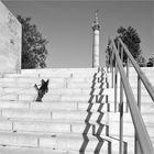 Place de la Bastille