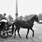 Place de la Concorde  2