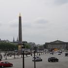 Place de la Concorde - Paris naturel (26/2013)