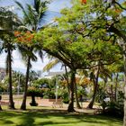 Place des Cocotiers Nouméa 