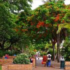 Place des Cocotiers -- Nouméa -- Hauptplatz