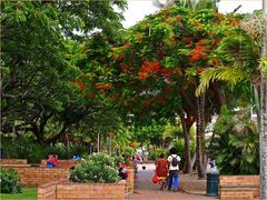 Place des Cocotiers -- Nouméa -- Hauptplatz