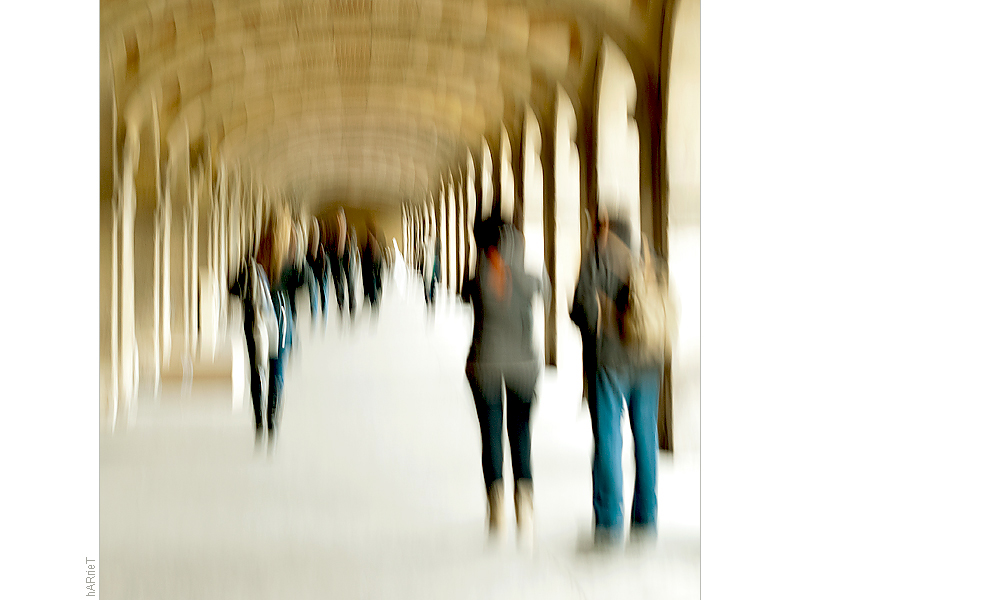 ... place des vosges I ...