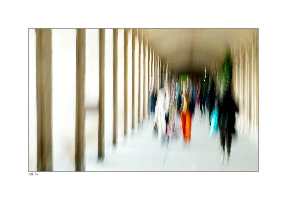 ... place des vosges IV ...