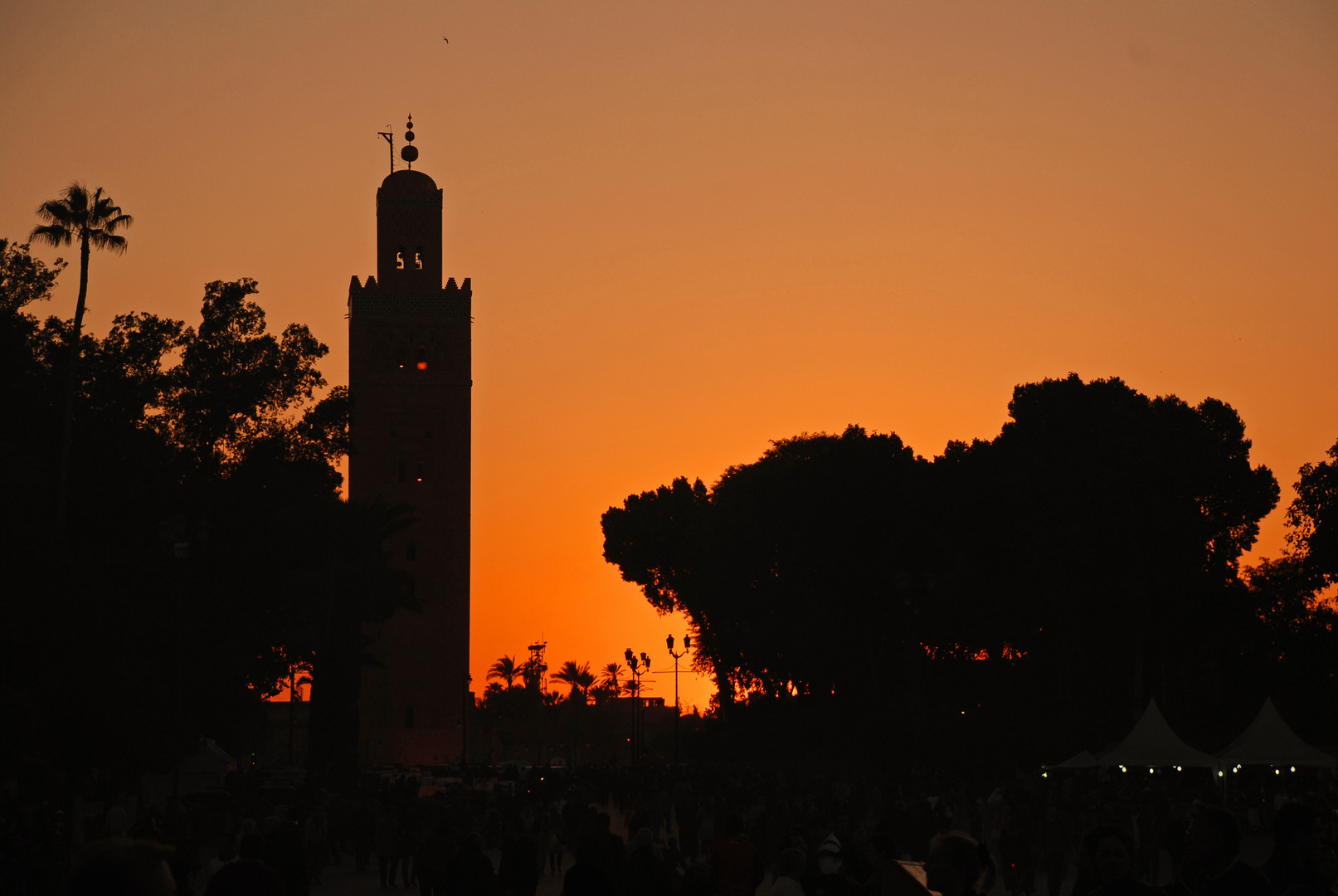 place Djemaa El Fna