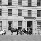 Place Maisonneuve, Montreal (Kanada)