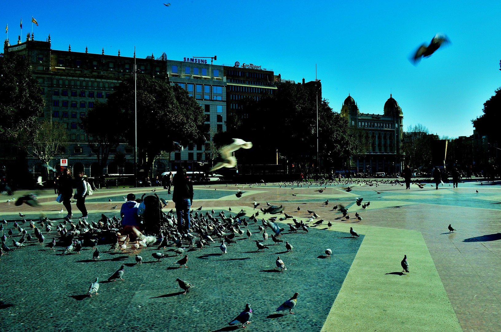 Place Pigeon d'Espagne