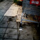 places and shopping carts
