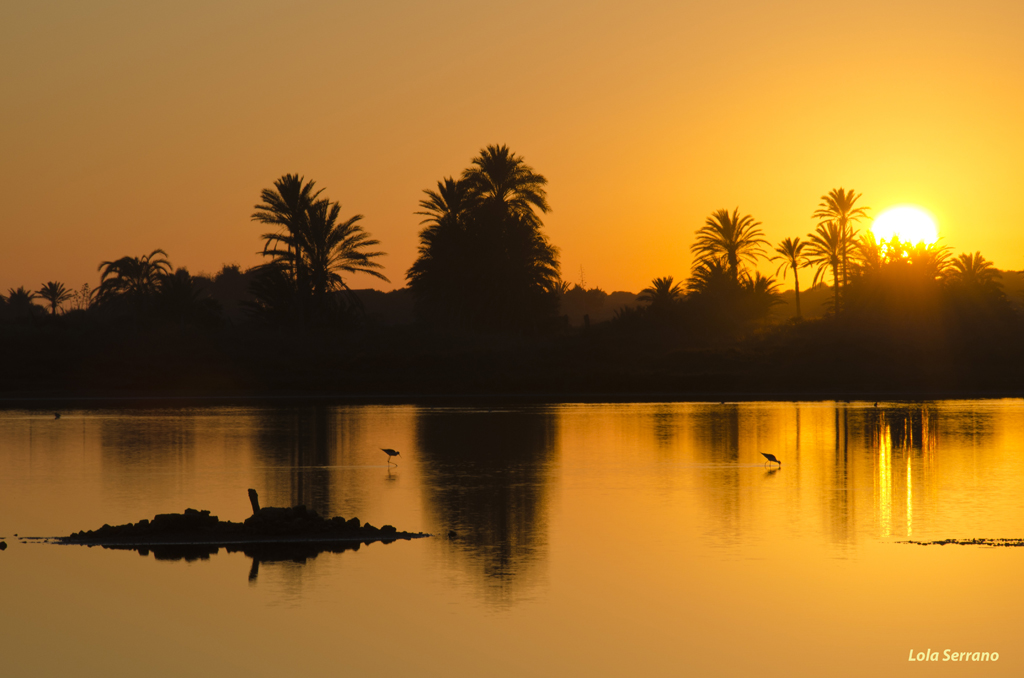 Plácido atardecer