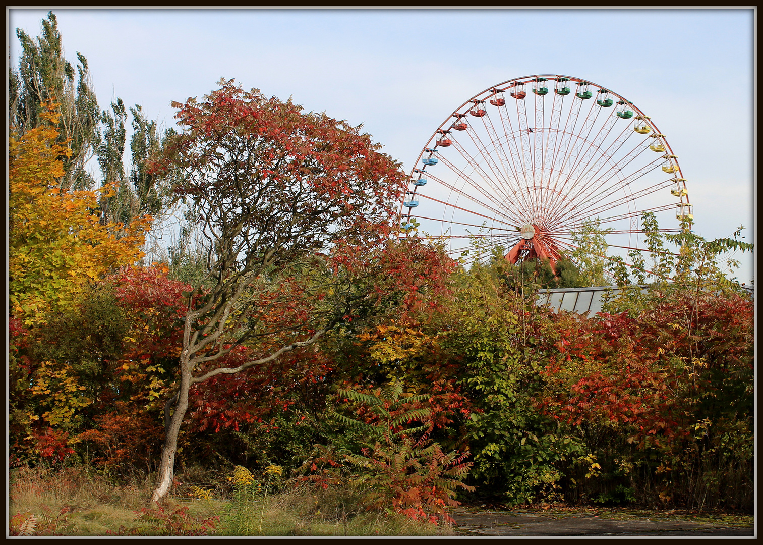 Plänterwald 12