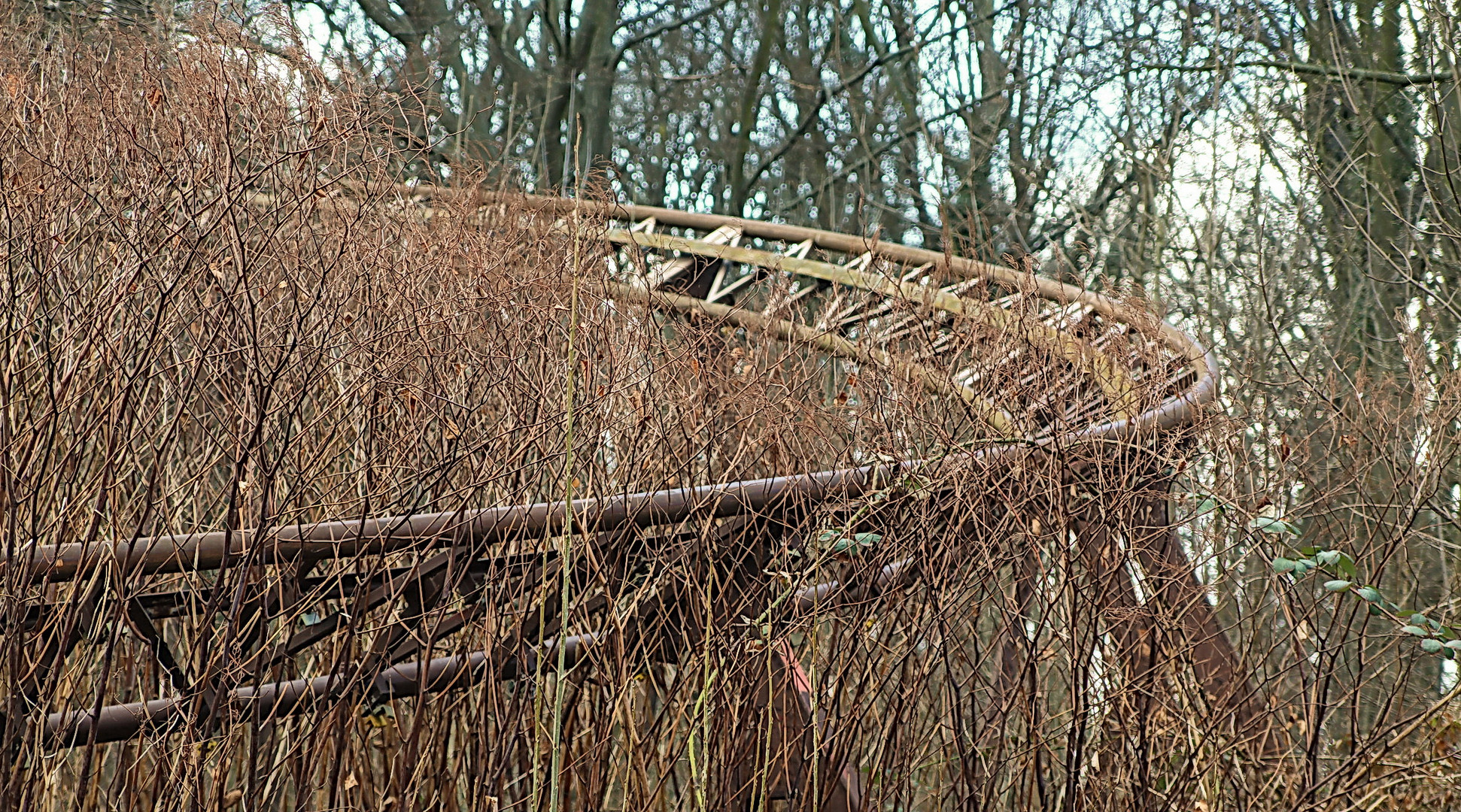 Plänterwald, Berlin