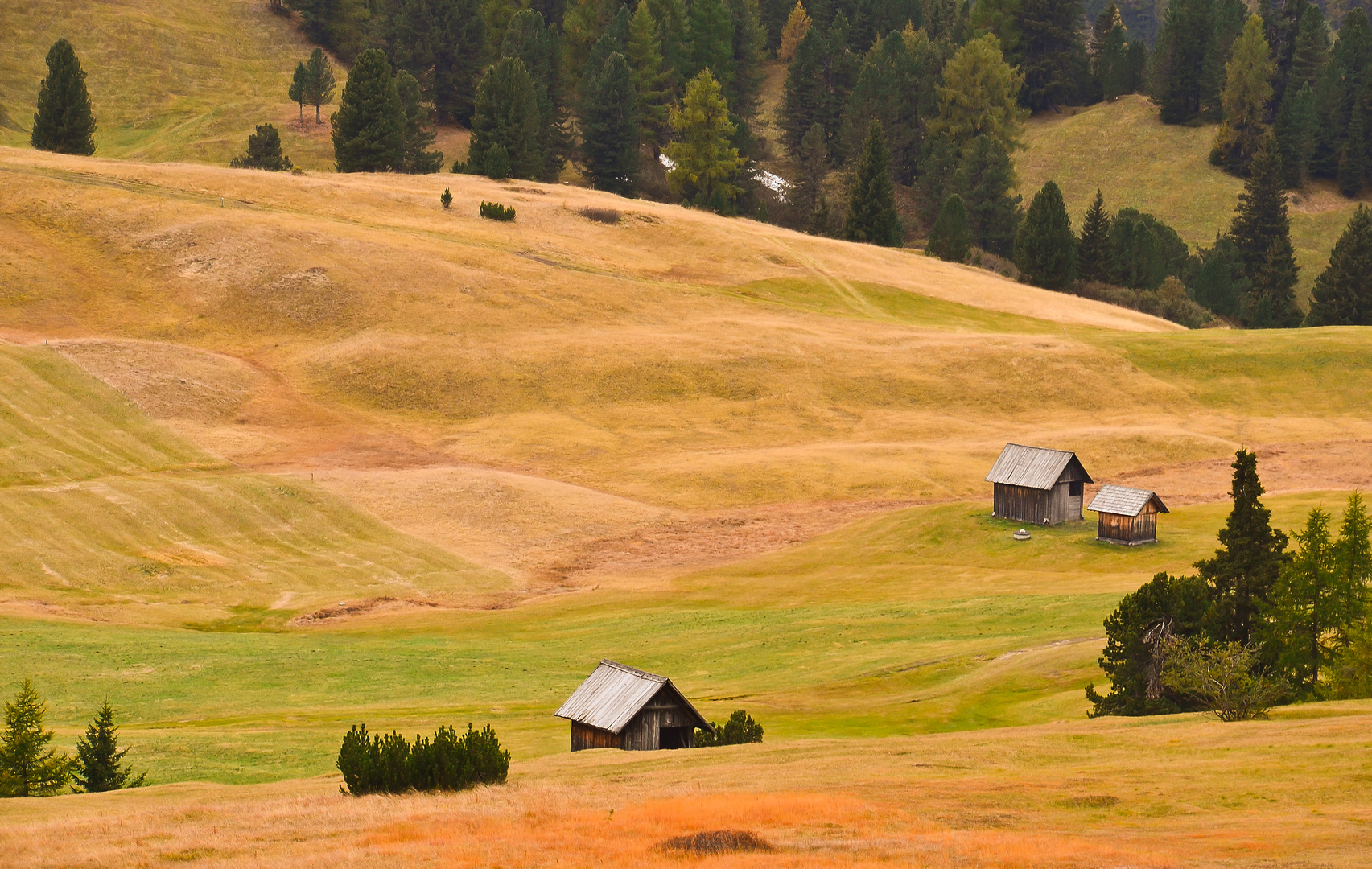 Plätzwiese im Herbst