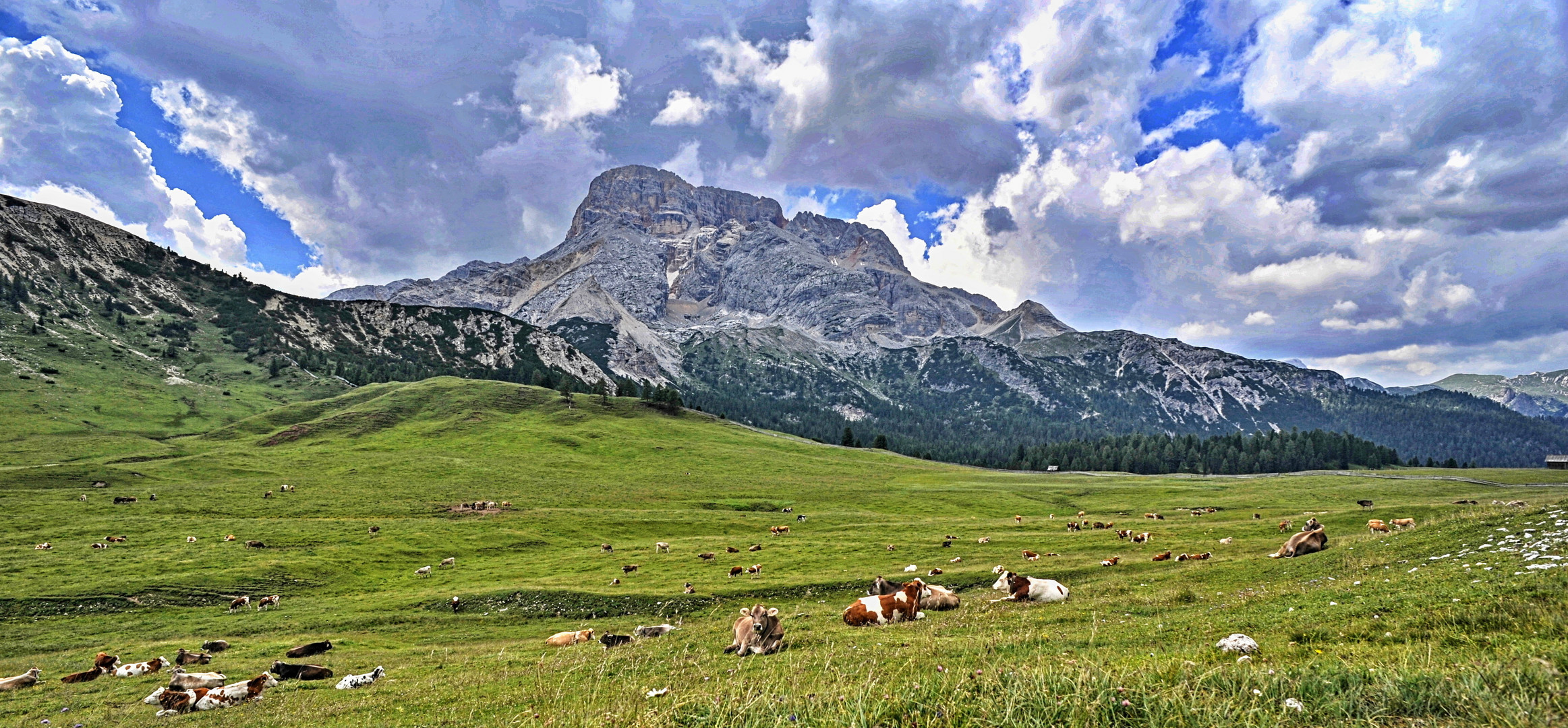 Plätzwiese mit  Hohe Gaisl