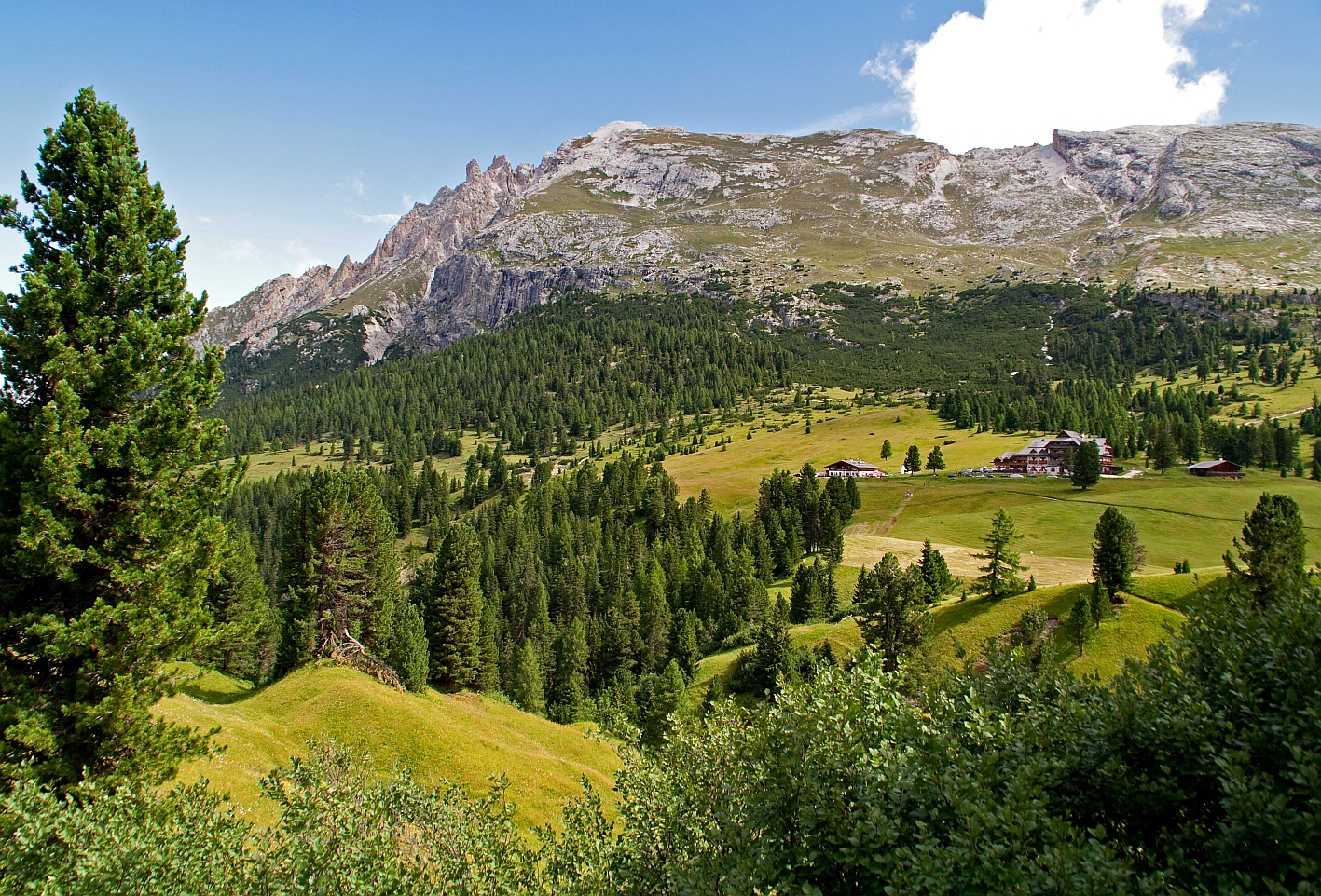 Plätzwiese und Dürrenstein