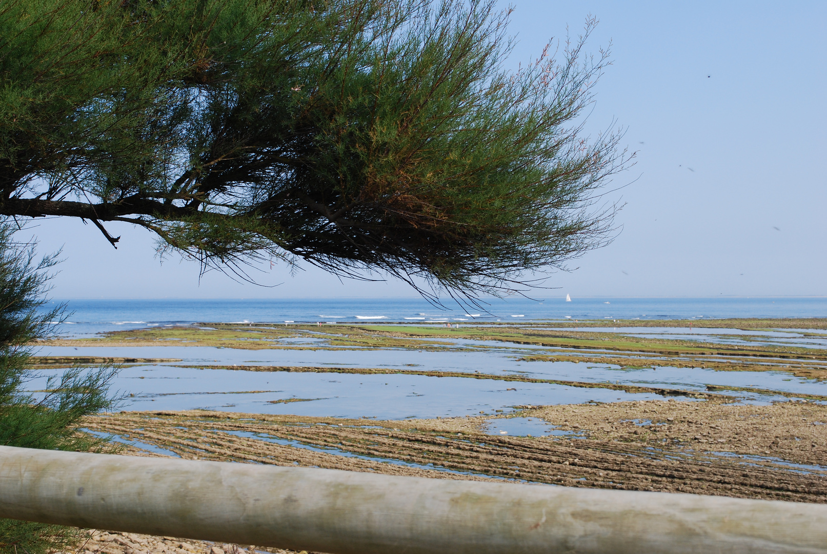 plage abimée