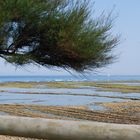 plage abimée