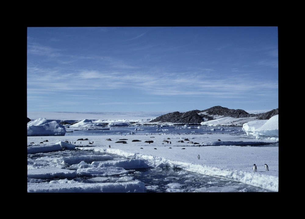 Plage adélienne typique du début de l'été