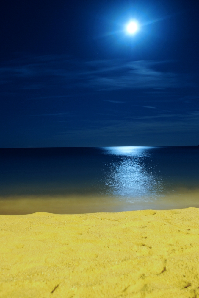 Plage au Clair de Lune