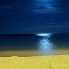 Plage au Clair de Lune