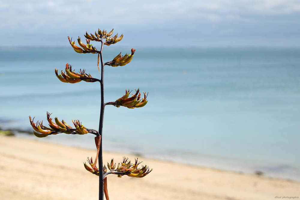 plage bretonne