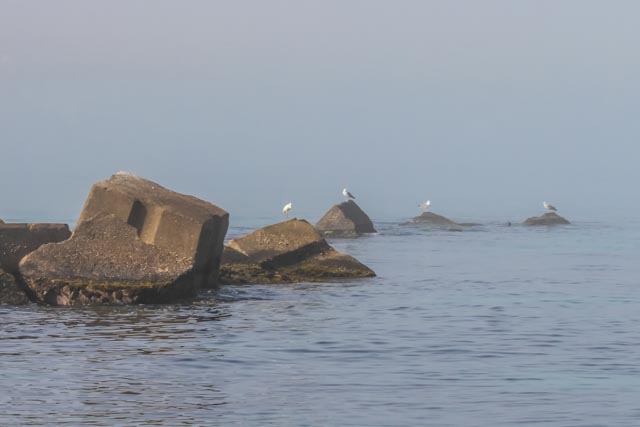 Plage Cap Blanc Oran 