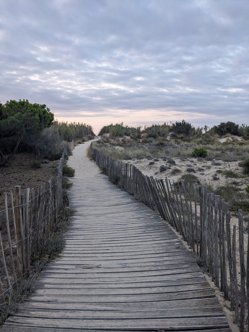 Plage Castellas 1