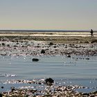 Plage Chatelaillon en Charente-Maritime