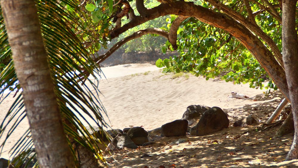 Plage Cluny Guadeloupe