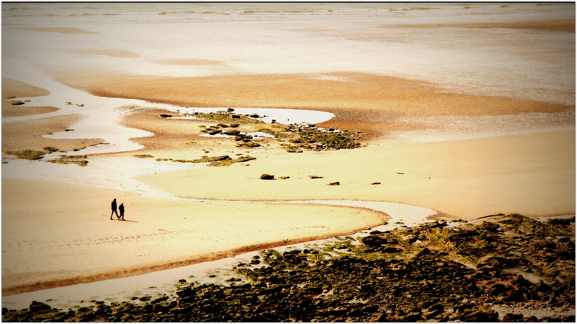 Plage d'Ambleteuse depuis les dunes de la Slack, Nord-Pas-de-Calais, France