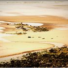 Plage d'Ambleteuse depuis les dunes de la Slack, Nord-Pas-de-Calais, France