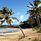 plage d'Anakena