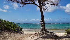 Plage d'Anse à la Gourde