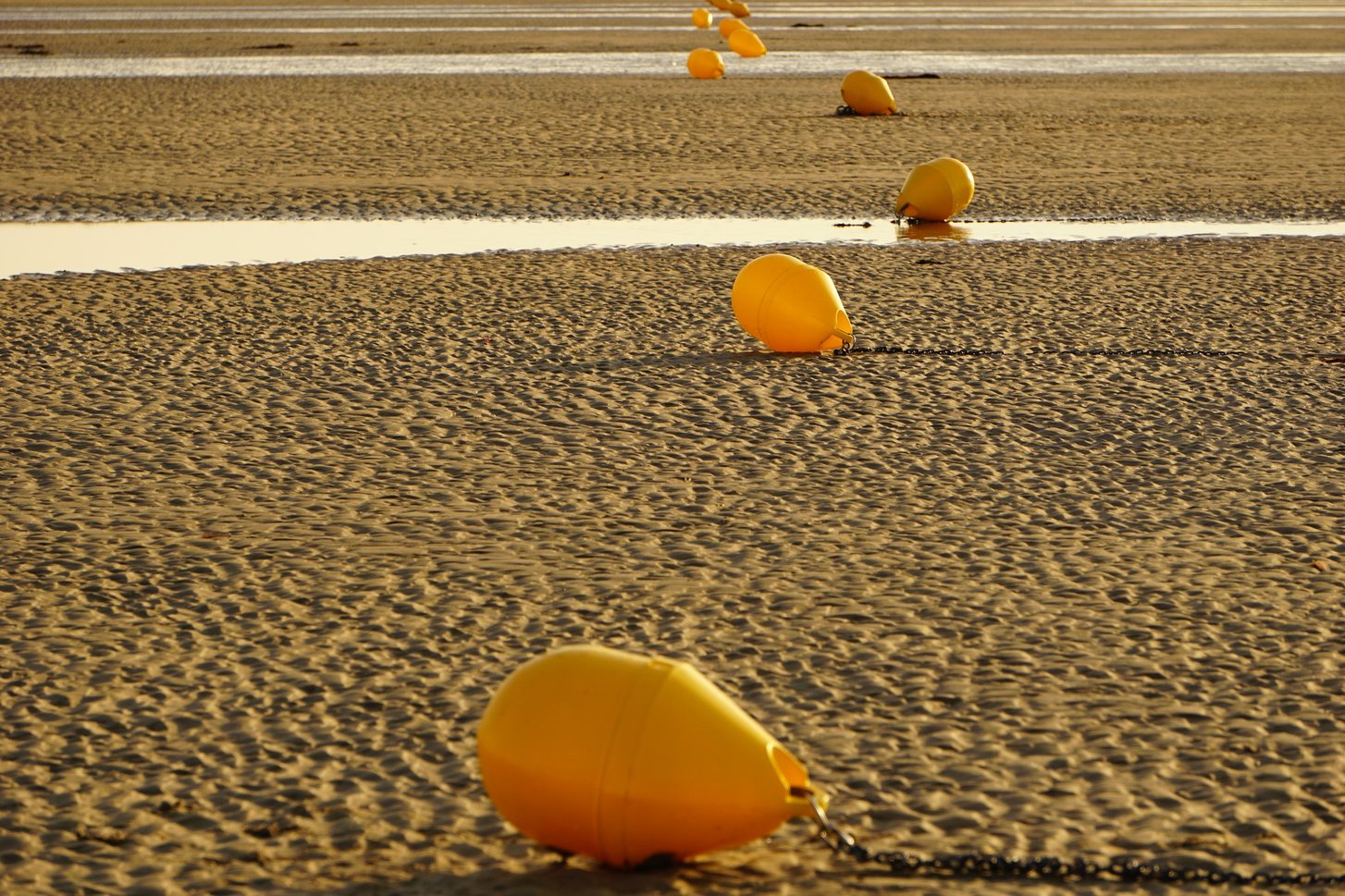 Plage de Cabourg_5