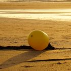 Plage de Cabourg_9