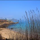 Plage de Carantec