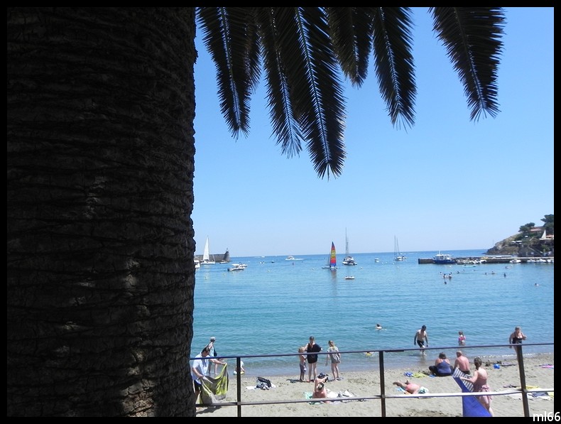 plage de collioure