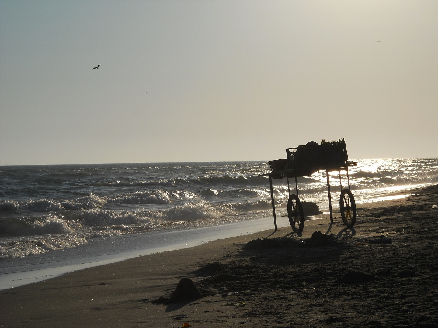 plage de Fiumicino