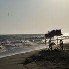 plage de Fiumicino