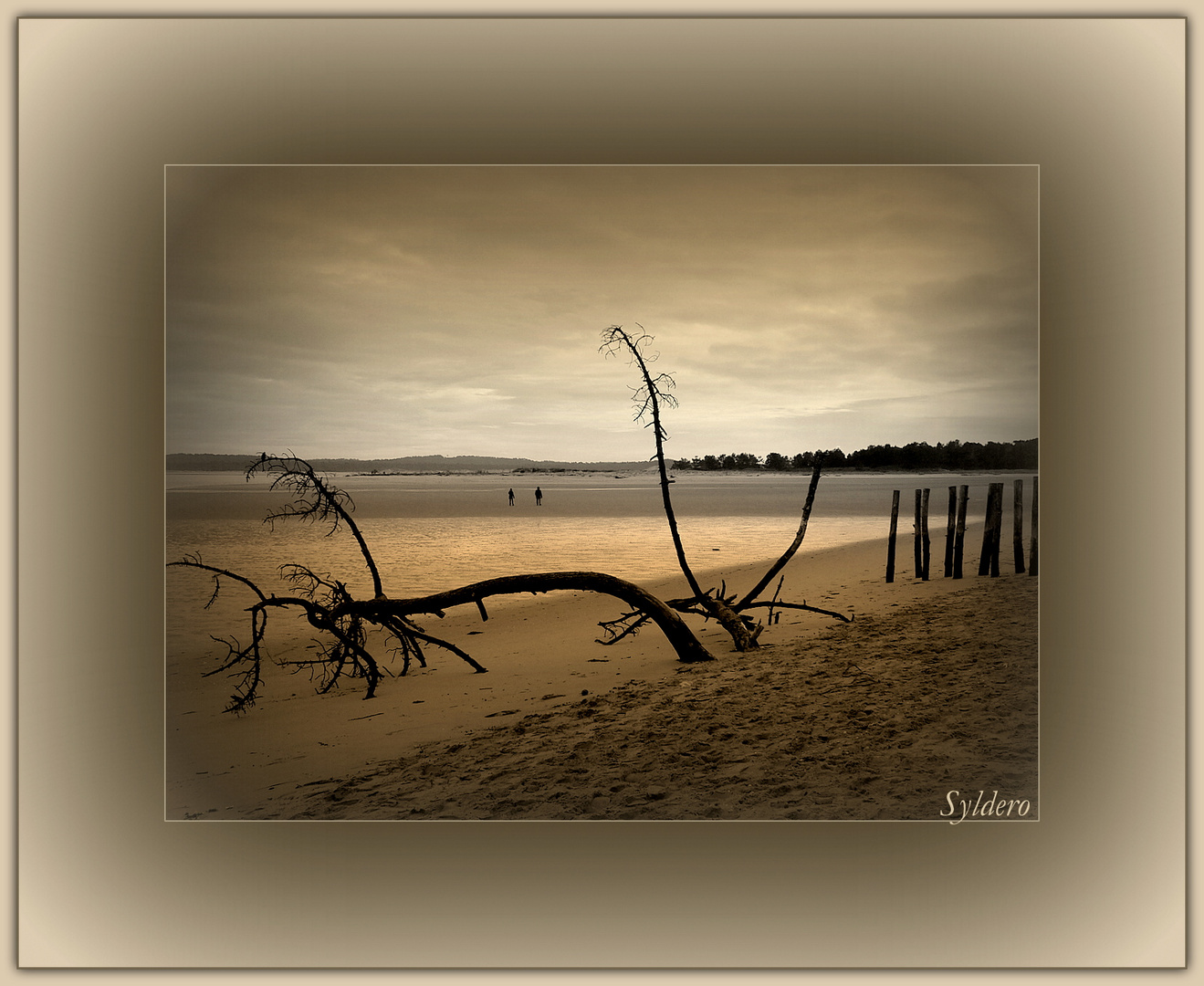 Plage de Gatseau à marée basse