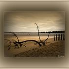 Plage de Gatseau à marée basse