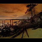 Plage de Gatseau après la tempête