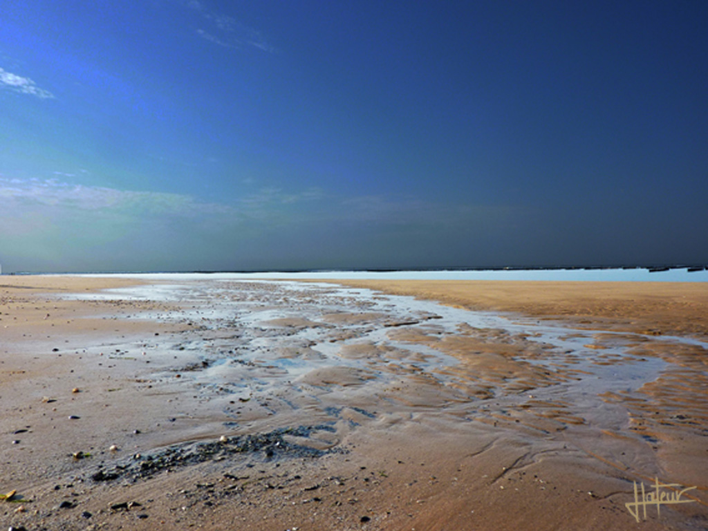 Plage de la pointe d'Arçay