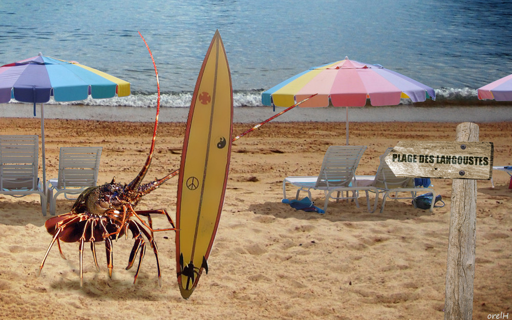 Plage de Langoustes