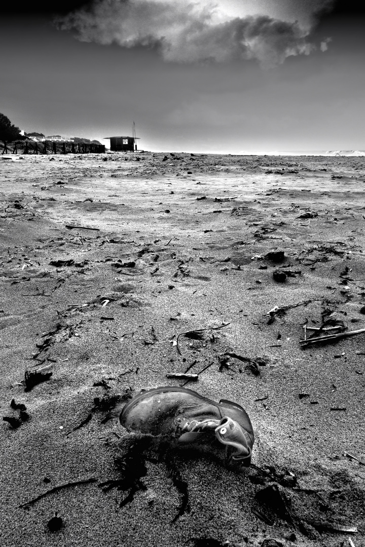 Plage de l'Arinella après la tempête