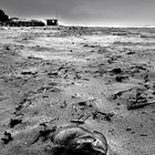 Plage de l'Arinella après la tempête