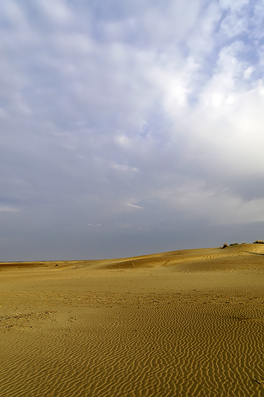 Plage de l´Espiguette